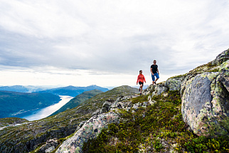 Travelling through the Fjords and Glaciers: Olden, Hoven and Briksdalsbreen Glacier
