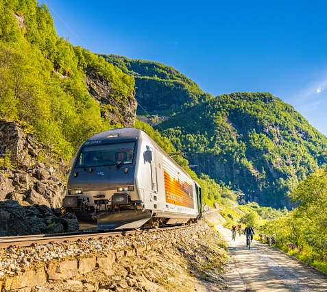 The Flom excursion railway