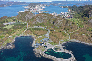 Ålesund+Atlantic Sea Park: City Tour & Aquarium Adventure