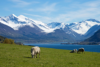 Travelling on the Zodiac: from Isfjorden to Barentsburg
