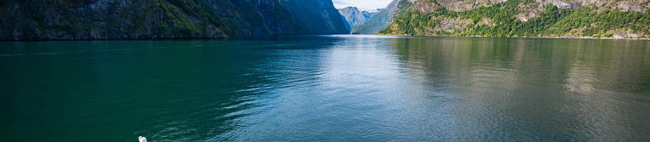 Day 5 Bergen-Gudvangen-Flåm