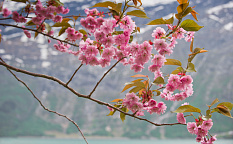 Oslo-Eidfjord - Images 2